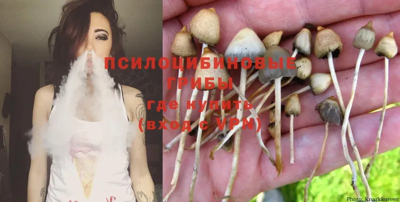 Псилоцибиновые грибы Magic Shrooms  Канск 