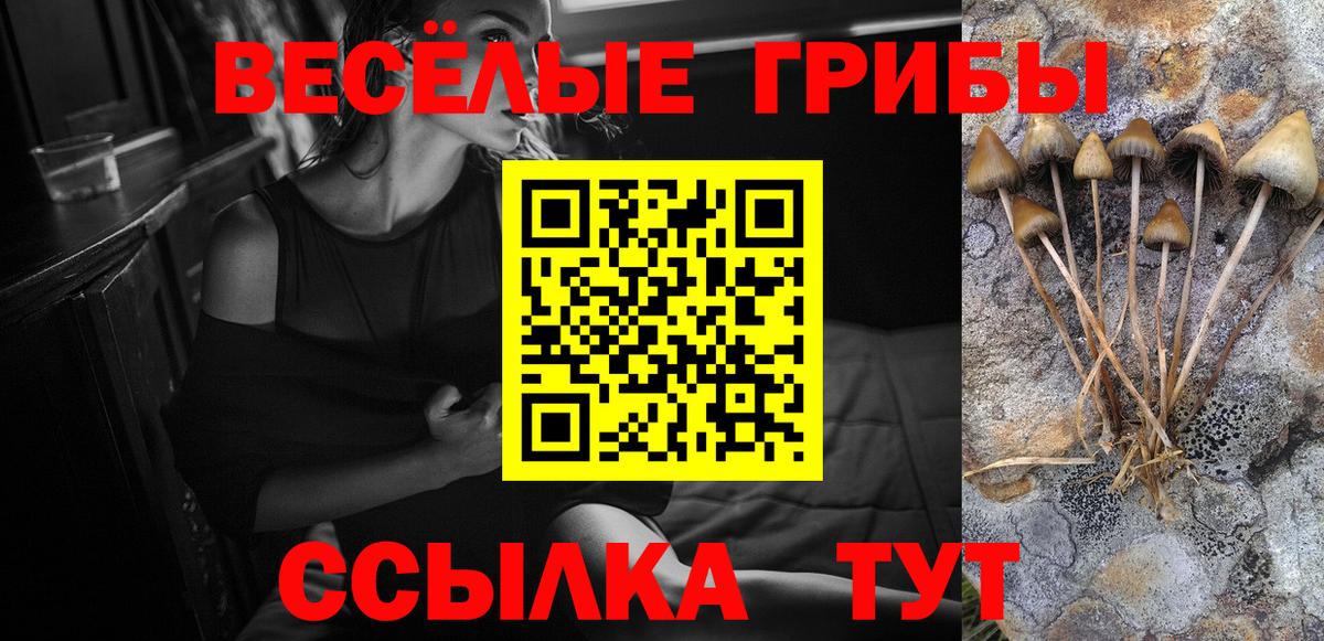 Канск  Галлюциногенные грибы Magic Shrooms  Вход с VPN 
