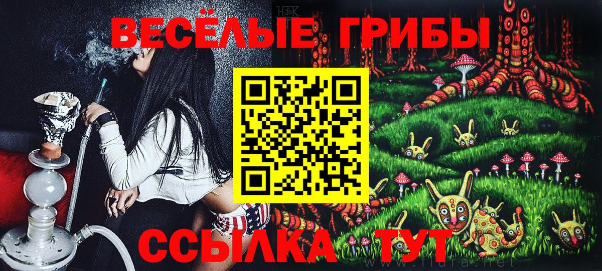 Галлюциногенные грибы Cubensis Канск