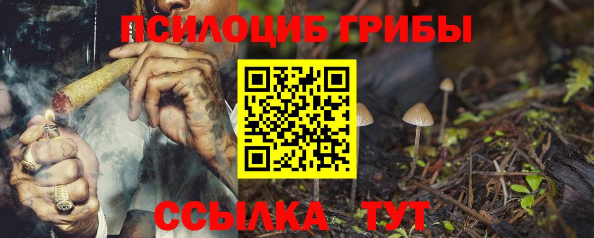 Галлюциногенные грибы MAGIC MUSHROOMS  Галлюциногенные грибы MAGIC MUSHROOMS  Канск 